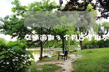 交通逾期3个月还了取不出来 交通逾期3个月还了取不出来