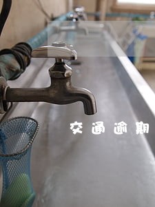 交通逾期4期账单 交通逾期4期账单