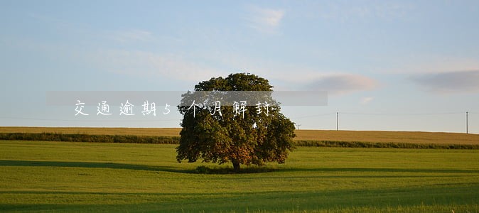 交通逾期5个月解封 交通逾期5个月解封
