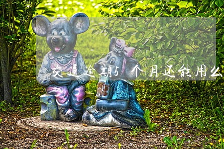 交通逾期5个月还能用么