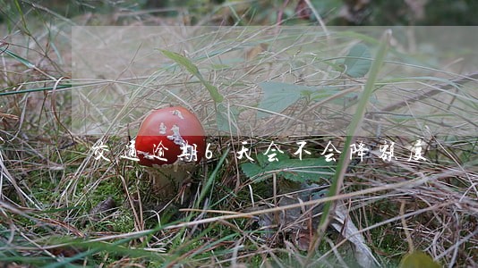 交通逾期6天会不会降额度 交通逾期6天会不会降额度