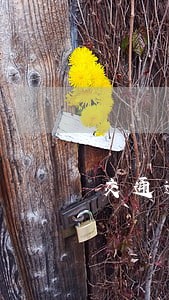 交通逾期90天信用卡解冻