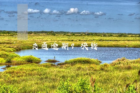 交通逾期9块钱 交通逾期9块钱