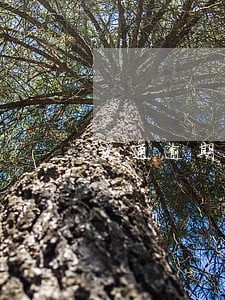 交通逾期了700块钱会扣多利息 交通逾期了700块钱会扣多利息