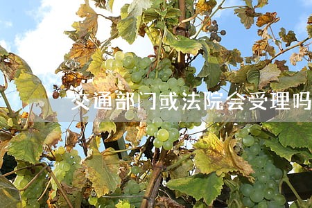 交通部门或法院会受理吗 交通部门或法院会受理吗