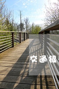 交通银行12元逾期5天 交通银行12元逾期5天