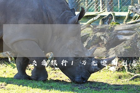 交通银行1万元逾期利息怎么算 交通银行1万元逾期利息怎么算