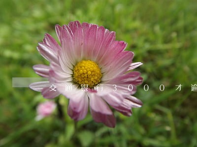 交通银行3000才逾期20天