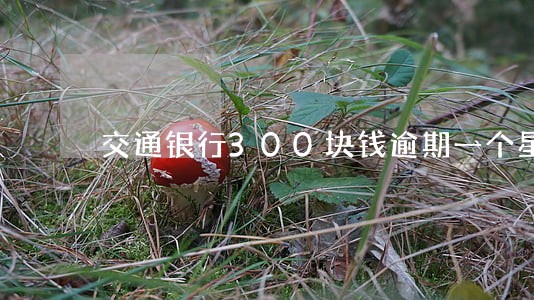 交通银行300块钱逾期一个星期 交通银行300块钱逾期一个星期