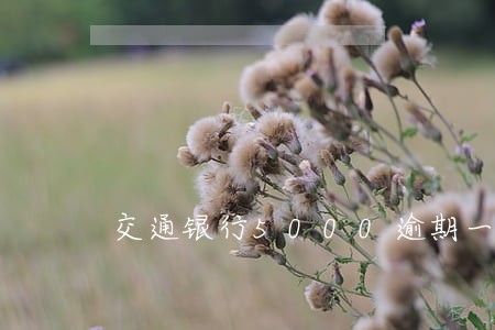 交通银行5000逾期一年 交通银行5000逾期一年