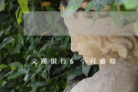交通银行6个月逾期 交通银行6个月逾期