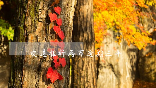 交通银行两万逾期三年 交通银行两万逾期三年