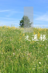 交通银行临时额度逾期十天 交通银行临时额度逾期十天