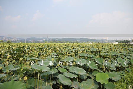 交通银行信用卡15000逾期 交通银行信用卡15000逾期