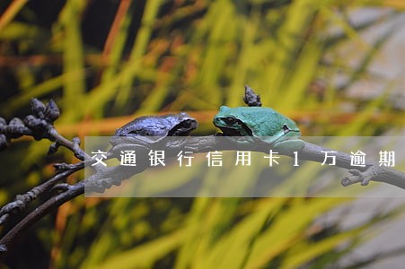 交通银行信用卡1万逾期 交通银行信用卡1万逾期
