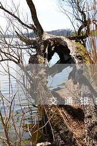 交通银行信用卡1万逾期两个月 交通银行信用卡1万逾期两个月