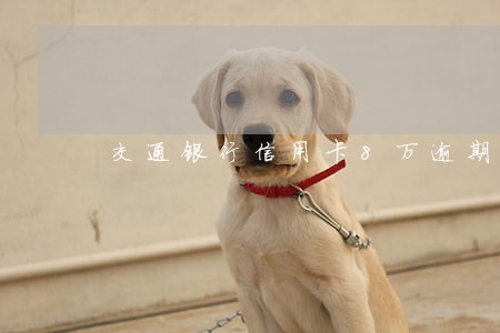 交通银行信用卡8万逾期