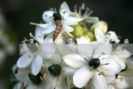 交通银行信用卡一万块逾期 交通银行信用卡一万块逾期