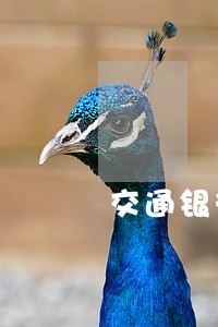 交通银行信用卡三万逾期半年