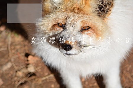 交通银行信用卡不小心逾期四天 交通银行信用卡不小心逾期四天