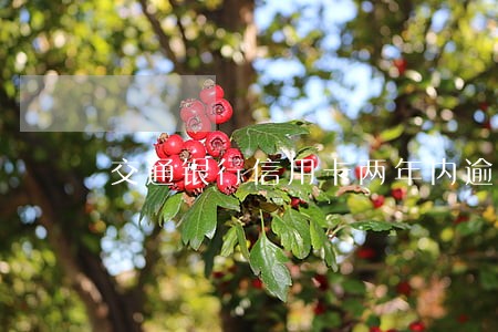 交通银行信用卡两年内逾期4次 交通银行信用卡两年内逾期4次
