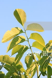 交通银行信用卡冻结逾期一年了 交通银行信用卡冻结逾期一年了