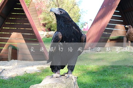 交通银行信用卡分期逾期怎么办 交通银行信用卡分期逾期怎么办