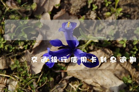 交通银行信用卡利息逾期 交通银行信用卡利息逾期