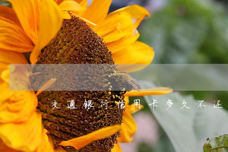 交通银行信用卡多久不还算逾期 交通银行信用卡多久不还算逾期