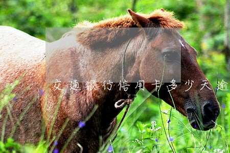 交通银行信用卡多少天逾期 交通银行信用卡多少天逾期