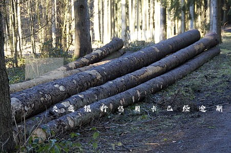 交通银行信用卡已经逾期四个月