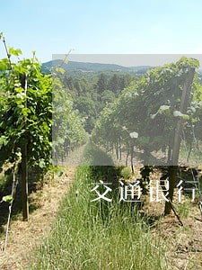交通银行信用卡延期2天算逾期 交通银行信用卡延期2天算逾期