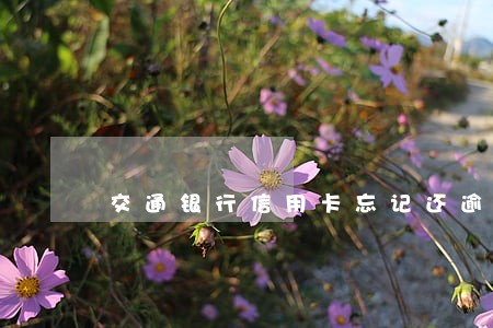 交通银行信用卡忘记还逾期