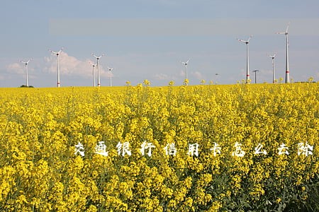 交通银行信用卡怎么去除逾期 交通银行信用卡怎么去除逾期