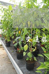 交通银行信用卡有逾期一次 交通银行信用卡有逾期一次