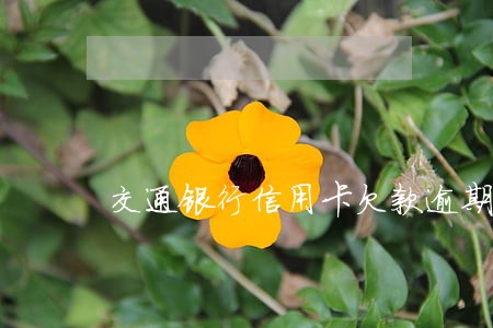交通银行信用卡欠款逾期流程