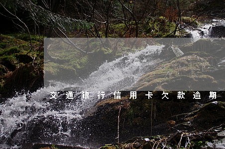 交通银行信用卡欠款逾期滞纳金