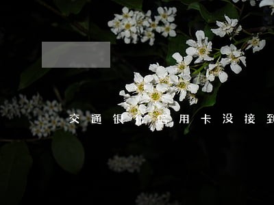 交通银行信用卡没接到短信逾期 交通银行信用卡没接到短信逾期