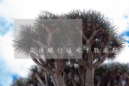 交通银行信用卡能逾期一个月吗