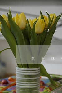 交通银行信用卡贷款逾期 交通银行信用卡贷款逾期