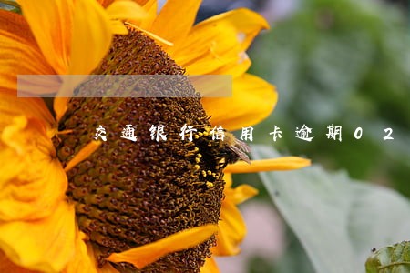 交通银行信用卡逾期021 交通银行信用卡逾期021