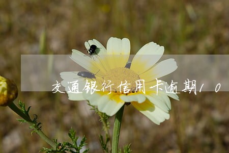 交通银行信用卡逾期10年
