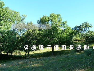 交通银行信用卡逾期15天 交通银行信用卡逾期15天