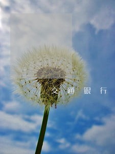 交通银行信用卡逾期15天左右 交通银行信用卡逾期15天左右