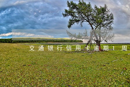 交通银行信用卡逾期1周 交通银行信用卡逾期1周