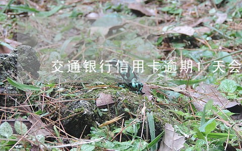 交通银行信用卡逾期1天会怎么样 交通银行信用卡逾期1天会怎么样
