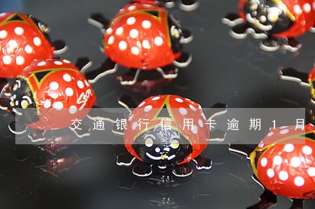 交通银行信用卡逾期1月内 交通银行信用卡逾期1月内