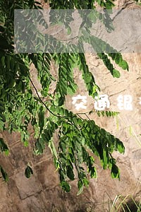 交通银行信用卡逾期1期账单