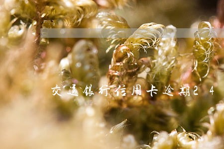 交通银行信用卡逾期24天