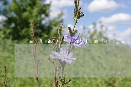 交通银行信用卡逾期2500